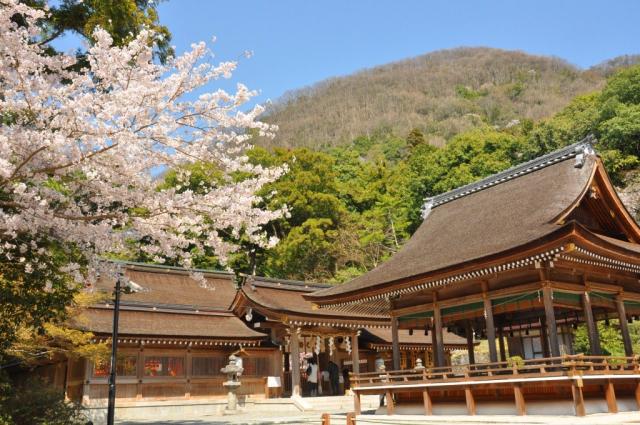 出雲大神宮の画像