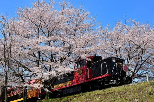 保津峡の画像