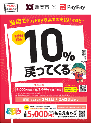 PayPayキャンペーンチラシ