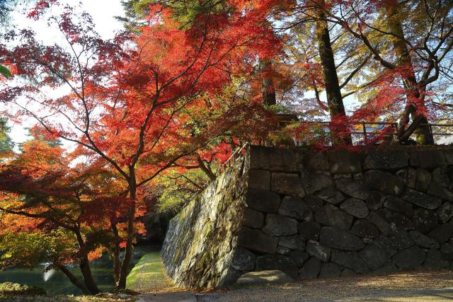 亀山城秋