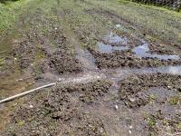 粗掻き後に水が渡った田圃の画像