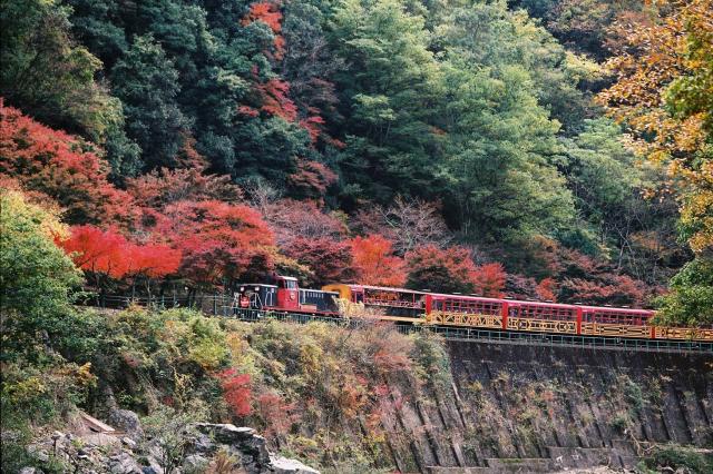 トロッコ秋