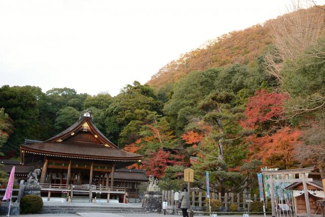 出雲大神宮秋