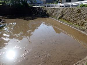 田植えが始まる前の田圃の画像