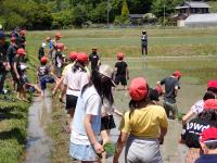 植えた後を観察する児童らの画像