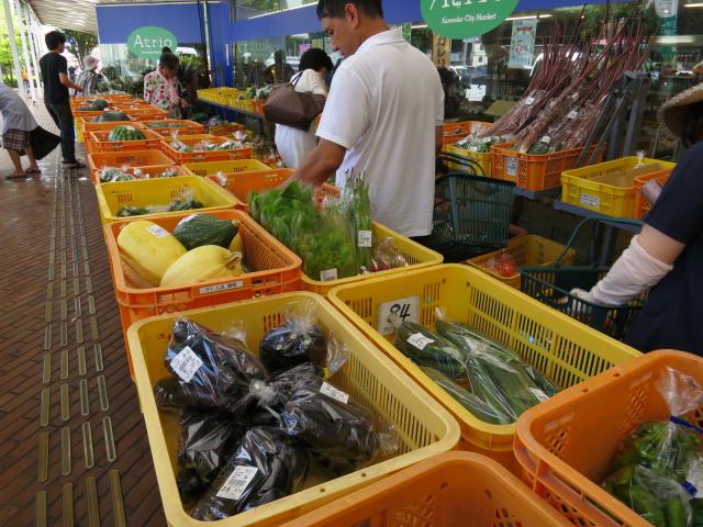 新鮮で種類豊富な野菜の画像