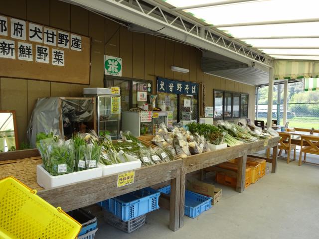 新鮮野菜がずらっと並びます。の画像