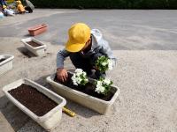 花苗を定植させる4年児童の画像