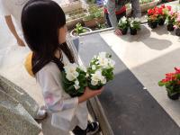 白い花のベゴニアをチョイスした児童の画像