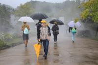 生憎雨が降り始めた忍者キングダムの庭園での画像