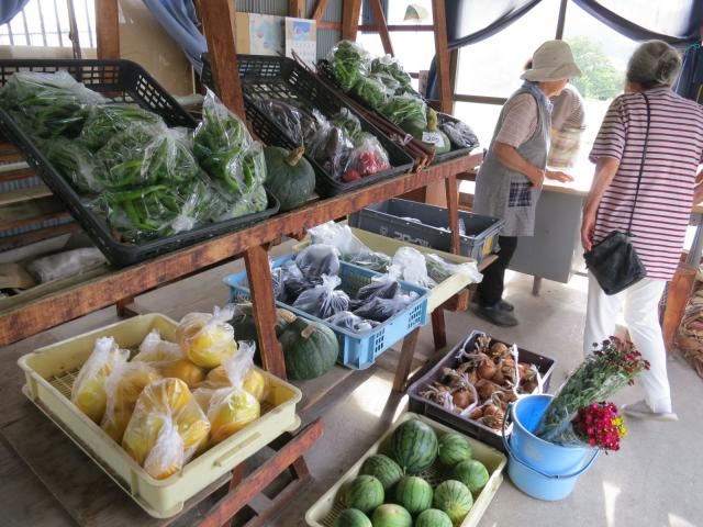 新鮮野菜がどっさりの画像