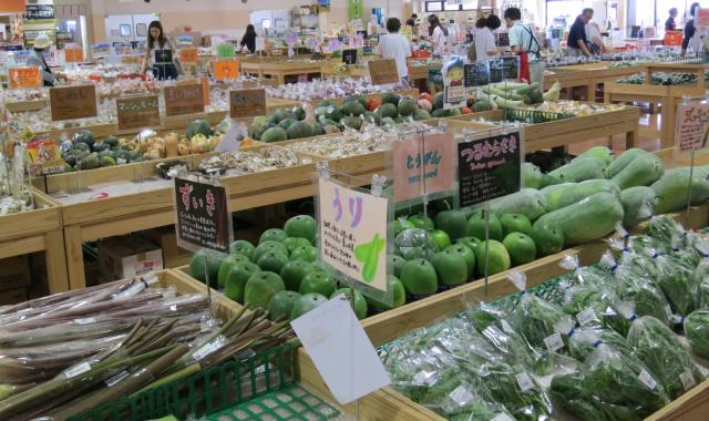 毎朝、新鮮な地元の野菜がてんこ盛りの画像