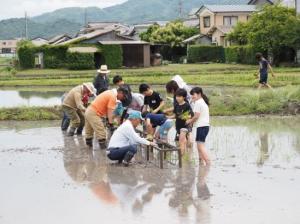 子どもたちが地域の方と田植えをしている様子