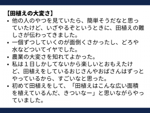 子どもたちのふりかえり　田植えの大変さ編