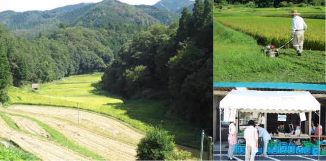 中山間地域等直接支払制度の実施状況（平成30年度）の画像