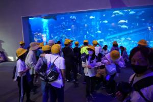 水族館