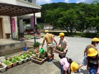 定植されたプランターを運ぶ男児の画像