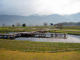 写真：農業公園