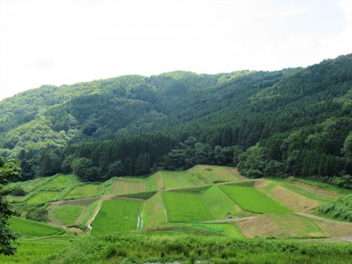 東別院町湯谷