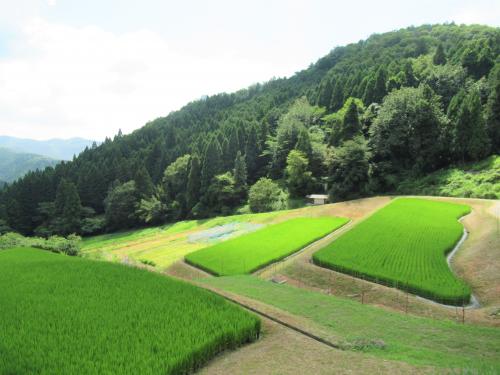 東別院町鎌倉