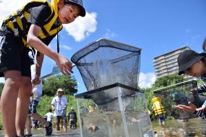 とれた魚の観察する子ども