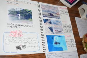 城山公園海の生き物調査のノート資料画像