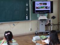 里山に住む昆虫を調べる3年生授業の画像