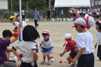 玉を拾う児童らの画像