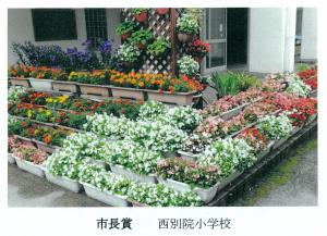 白黄色紫に多彩な6段に配置された花壇の画像