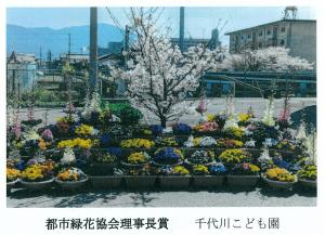 サクラの木を背景に紫黄色の花の花壇の画像