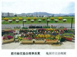 芝生値を背景に階段状に広がる花壇の画像