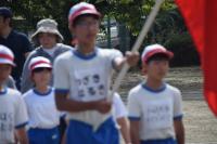 赤組入場行進始まる。旗手の画像