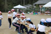 綱取り競技で綱を引きあう青と赤の児童の画像