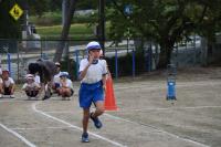 青、低学年スーパー全員リレーの画像