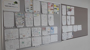 展示12