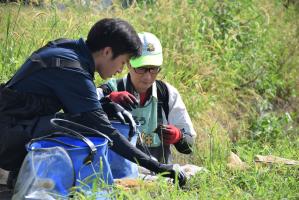 魚を判別する様子