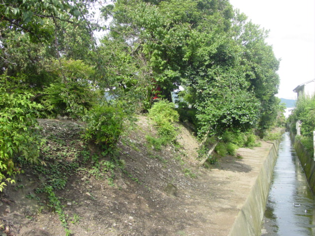 嶺樹院