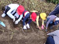 横並びで作業する低学年児童の画像