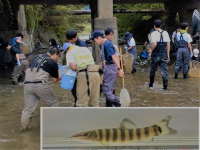 人と自然のネットワーク写真