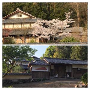 門と母屋