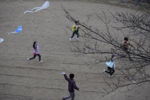 桜の木が待ち受ける空に凧の画像