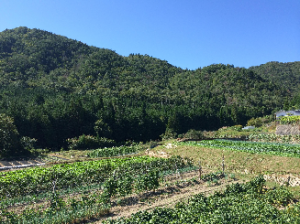 畑野町