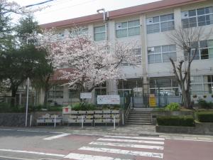 4月の学校2
