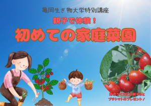 初めての家庭菜園