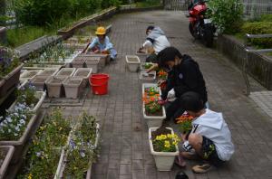 プランターに花の苗植え