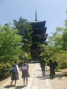 寺