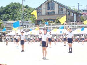 6年
