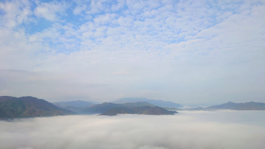雲海の様子