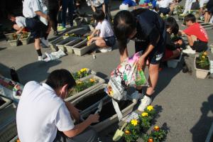 花いっぱい1