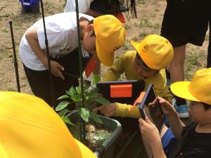 地域の方と植えた野菜